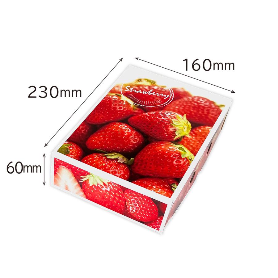 【いちご用化粧箱】いちご便り　（10枚入）　内寸：230×160×H60ｍｍ