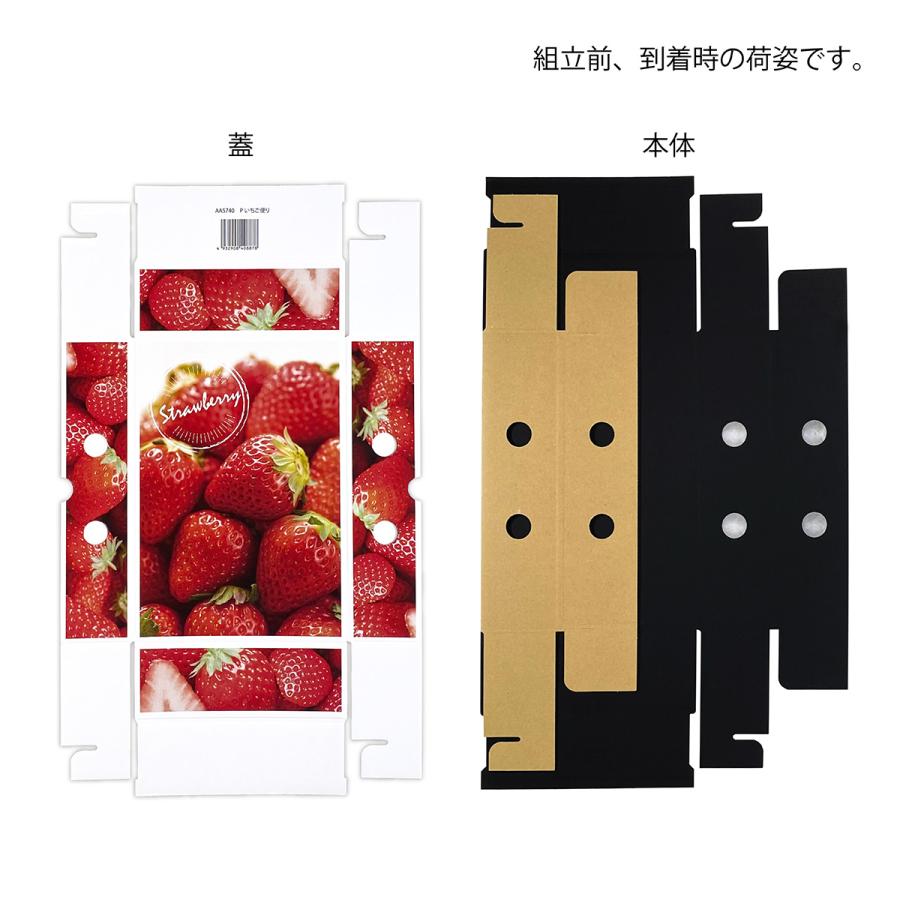 【いちご用化粧箱】いちご便り　（10枚入）　内寸：230×160×H60ｍｍ