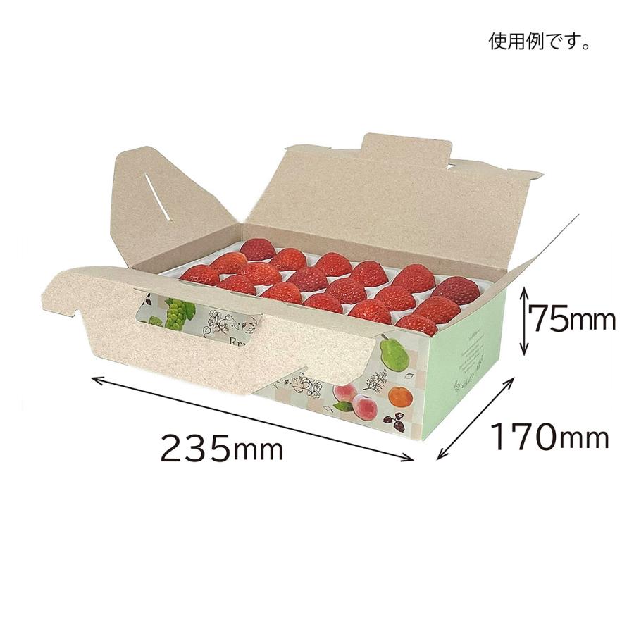 【手さげ箱】フルーツランド パピィ(100枚入) 内寸:170×235×H75mm