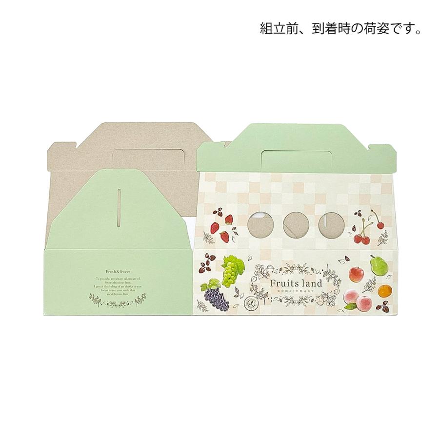 【手さげ箱】フルーツランド パピィ(100枚入) 内寸:170×235×H75mm