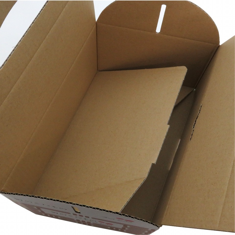 手さげ箱OT-1.5F フルーツ 旬のくだもの（5枚入）お試し用