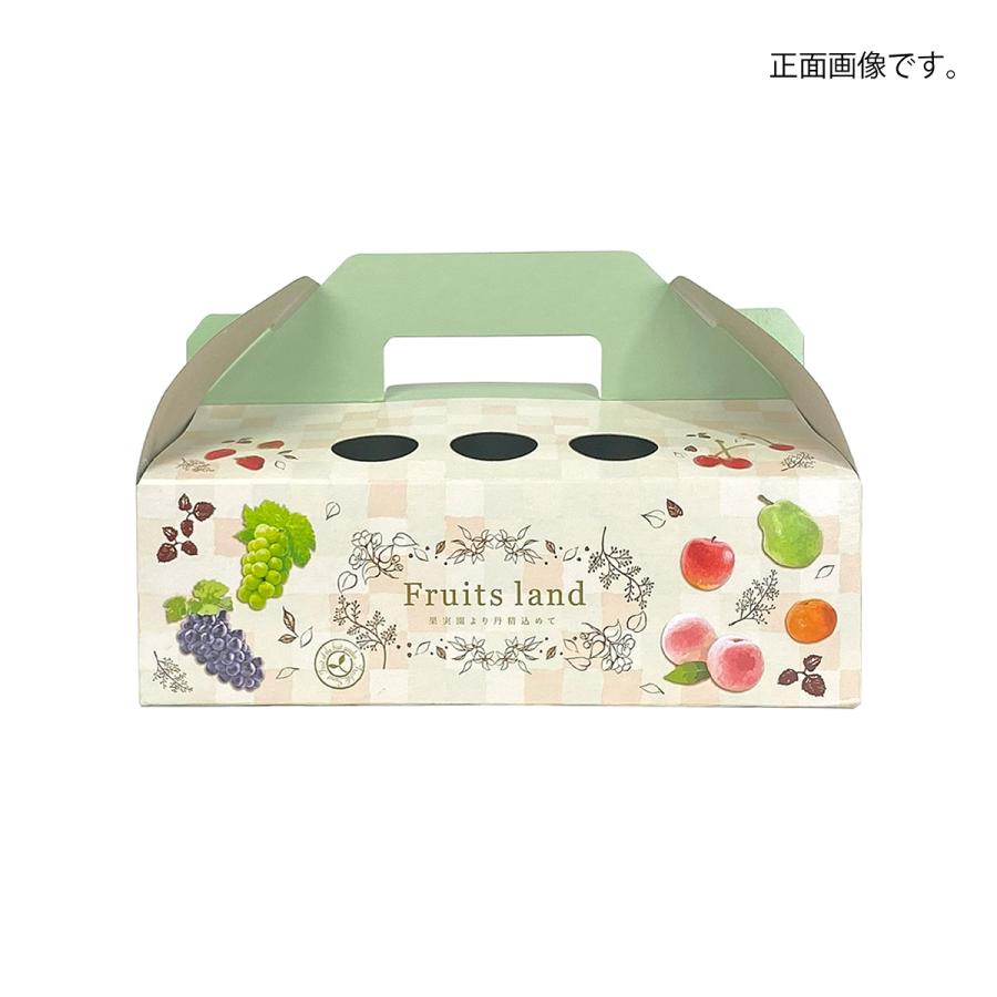 【手さげ箱】フルーツランド パピィ(20枚入) 内寸:170×235×H75mm