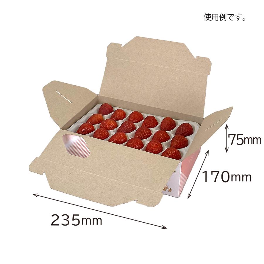 手さげ箱】フルーツランド マミィ（20枚入） 内寸：170×235×H75mm