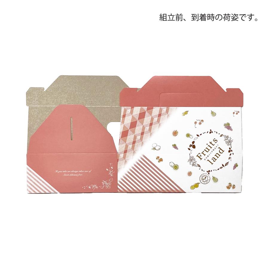手さげ箱】フルーツランド マミィ（20枚入） 内寸：170×235×H75mm