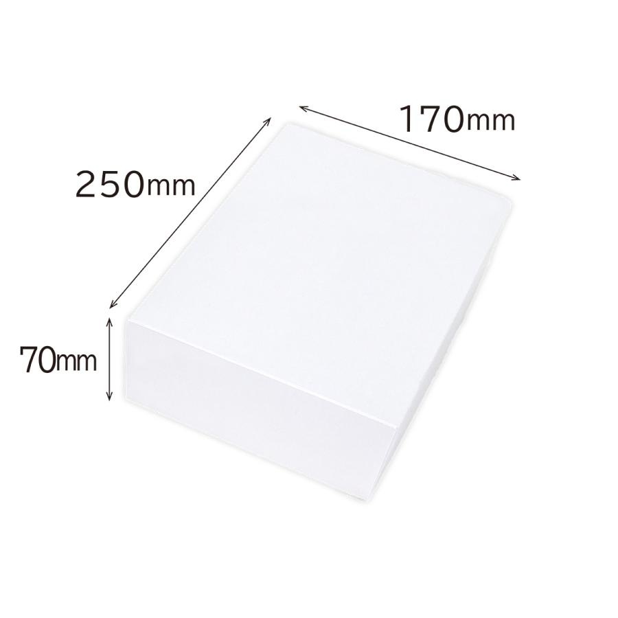 【いちご用化粧箱】ホワイトギフト プチ(10枚入) 内寸:170×250×H70mm