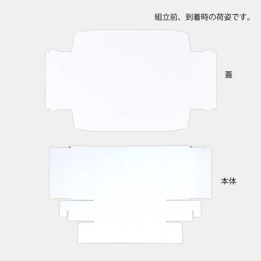 【いちご用化粧箱】ホワイトギフト プチ(10枚入) 内寸:170×250×H70mm