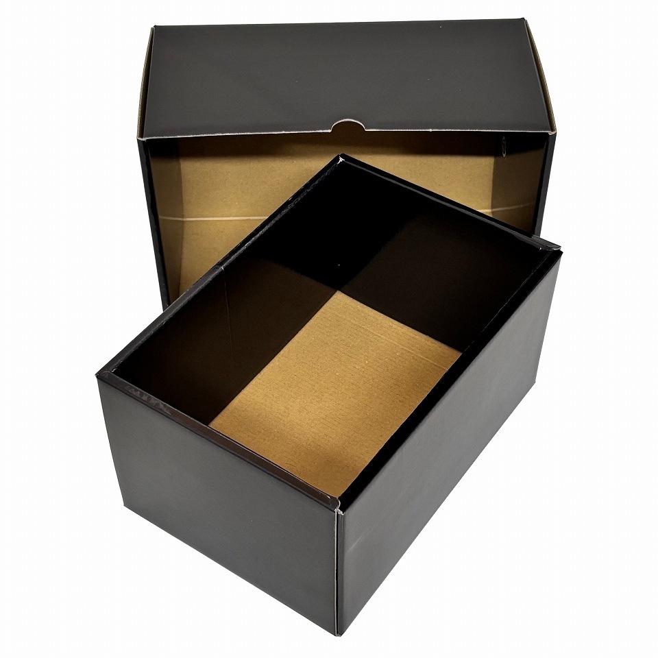 【 こづちNo.2　10枚入り】   フルーツギフト箱　マンゴー大玉2個　ぶどう1房用 （AA5711-10）