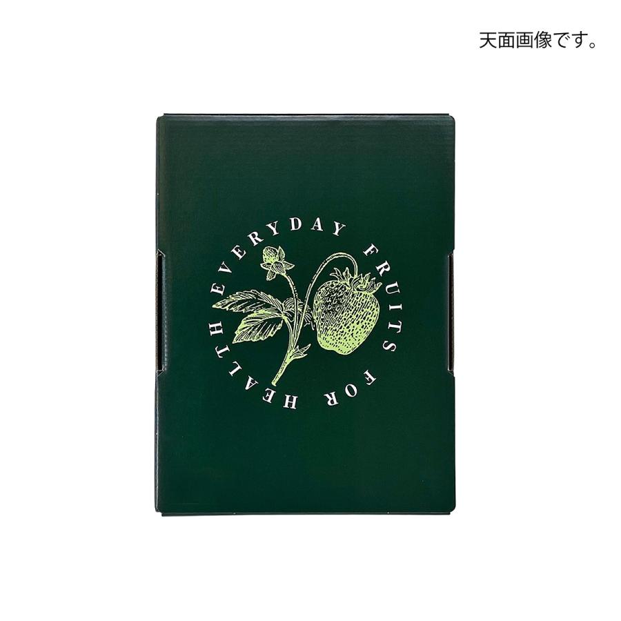 いちご用化粧箱】ヘルシーパック2（100枚入） 内寸：240×175×H75mm