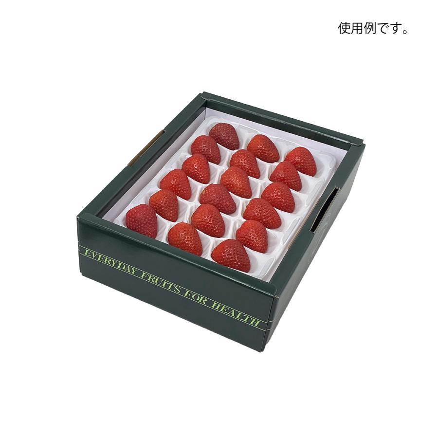 いちご用化粧箱】ヘルシーパック2（100枚入） 内寸：240×175×H75mm