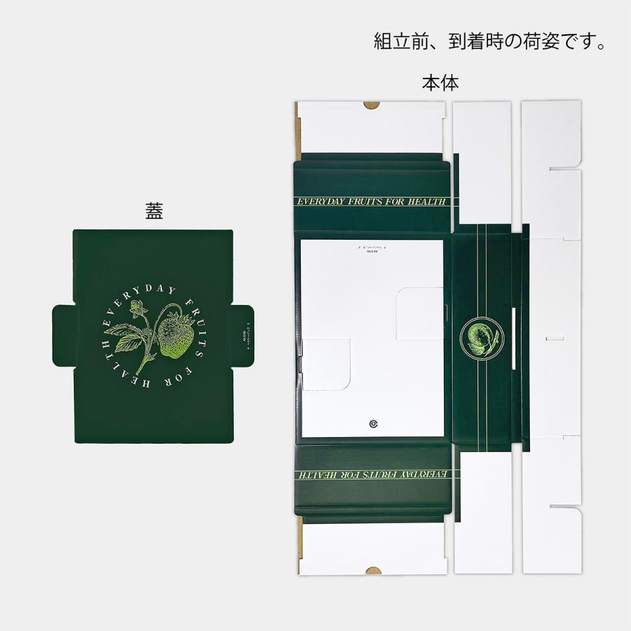 いちご用化粧箱】ヘルシーパック2（100枚入） 内寸：240×175×H75mm