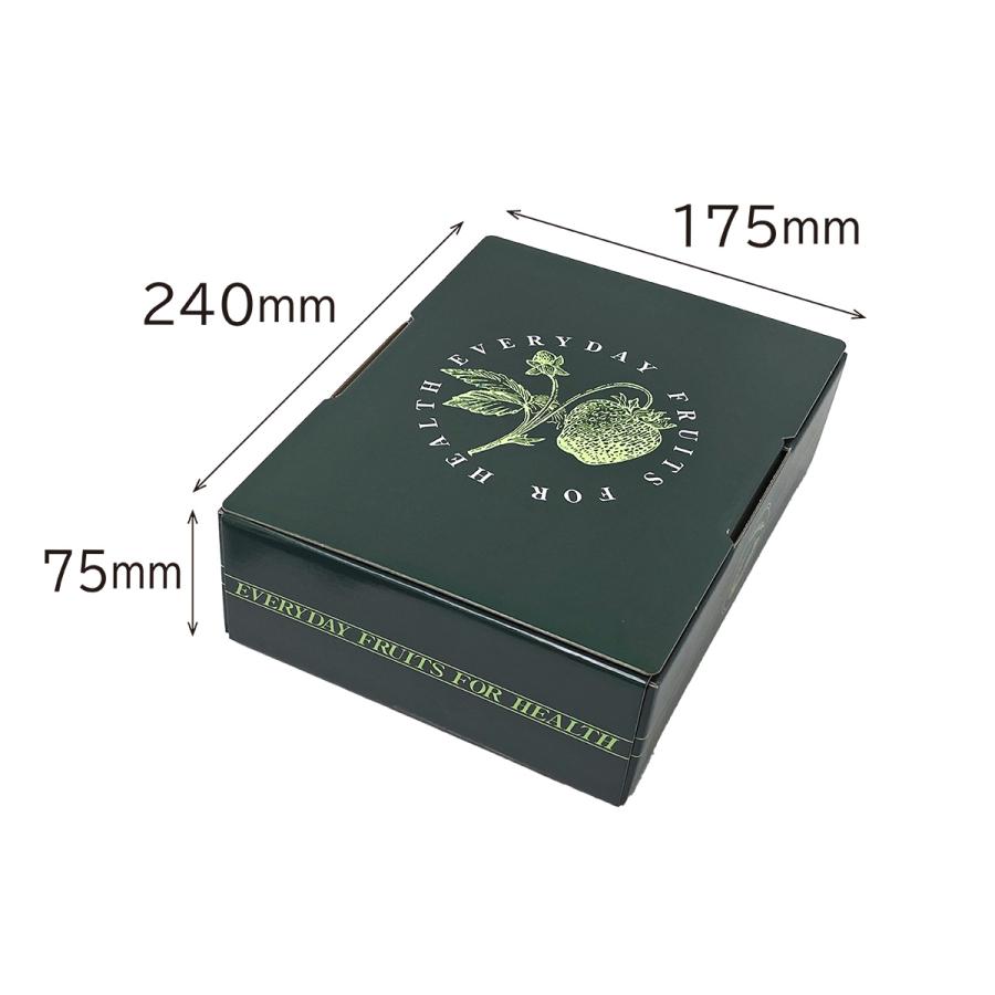 いちご用化粧箱】ヘルシーパック2（10枚入） 内寸：240×175×H75mm