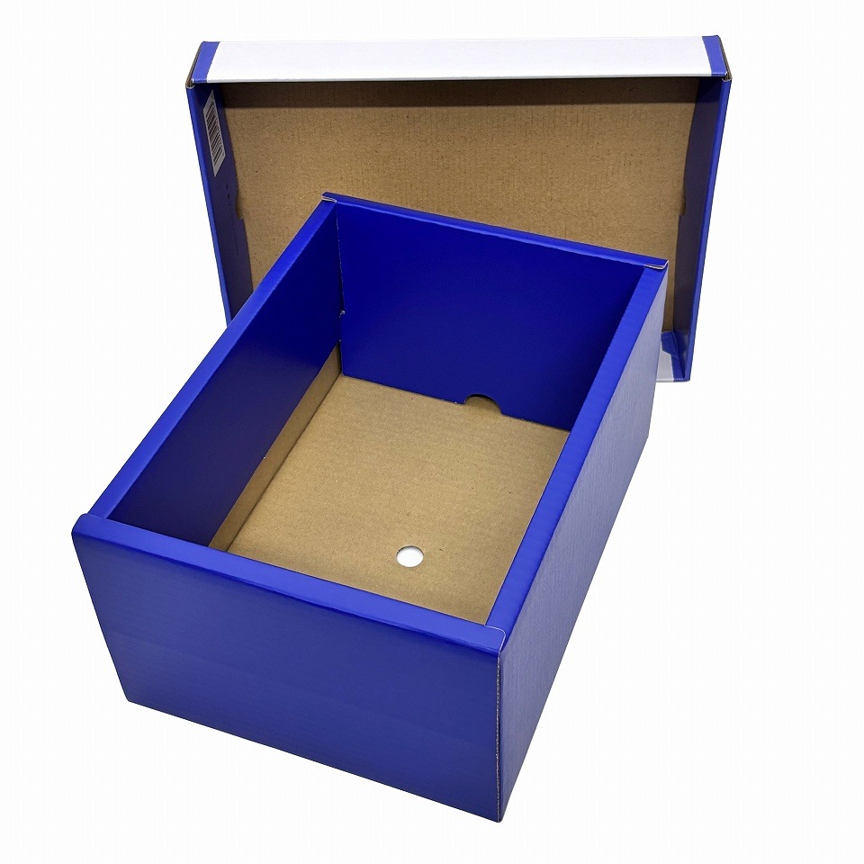 【 シローズ葡萄　40枚入り】   ブドウ・シャインマスカットギフト用化粧箱　２房用　 （AA6730）