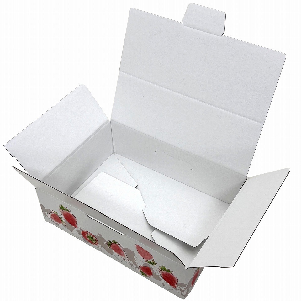【いちご用化粧箱】いちごの国から（10枚入）　内寸：240×175×Ｈ75mm