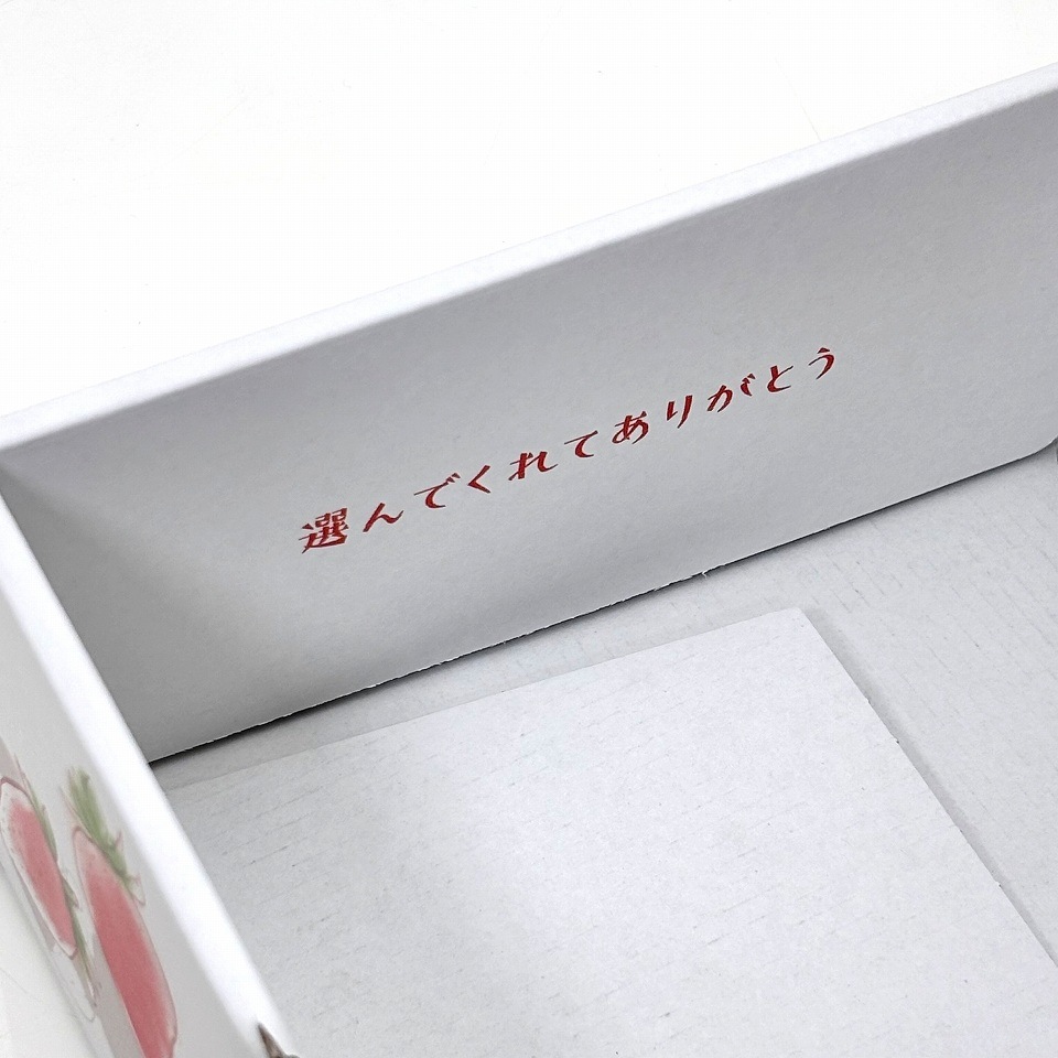 【いちご用化粧箱】いちごの国から（10枚入）　内寸：240×175×Ｈ75mm