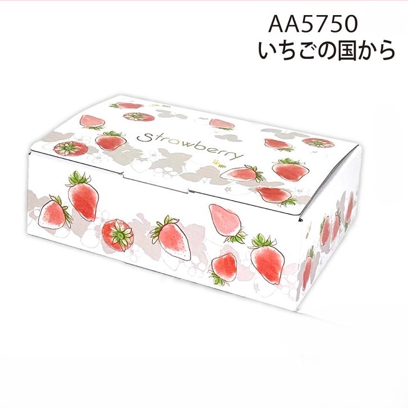 【いちご用化粧箱】いちごの国から（10枚入）　内寸：240×175×Ｈ75mm