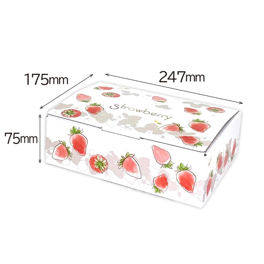 【いちご用化粧箱】いちごの国から（10枚入）　内寸：240×175×Ｈ75mm
