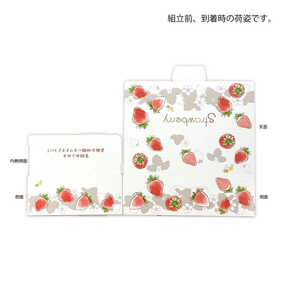 【いちご用化粧箱】いちごの国から（10枚入）　内寸：240×175×Ｈ75mm