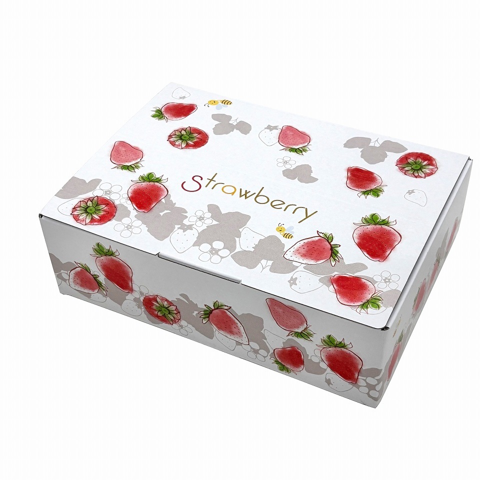 【いちご用化粧箱】いちごの国から（10枚入）　内寸：240×175×Ｈ75mm