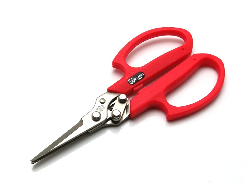 サボテン 3枚刃摘果鋏 AG-18