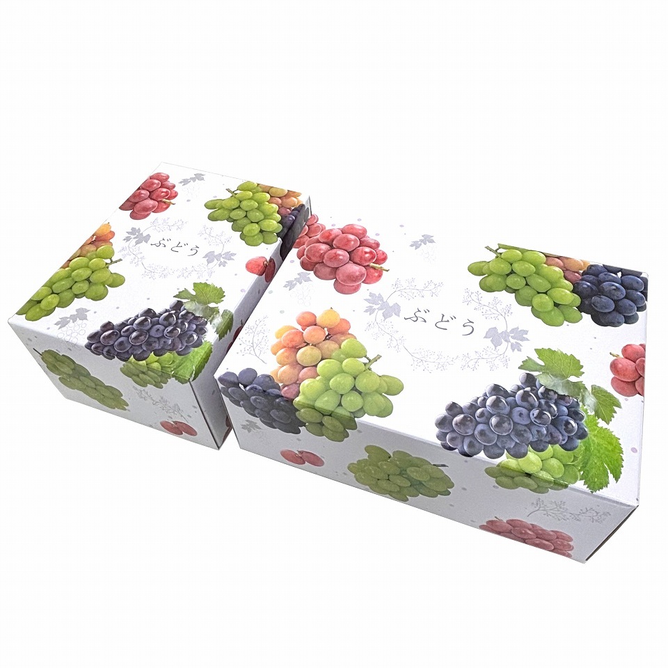 【 3色 ブドウ C式 2kg 40枚入り】 3種類 〜 4種類 の 詰め合わせ ぶどう箱 ぶどう専用箱 (AA6751)