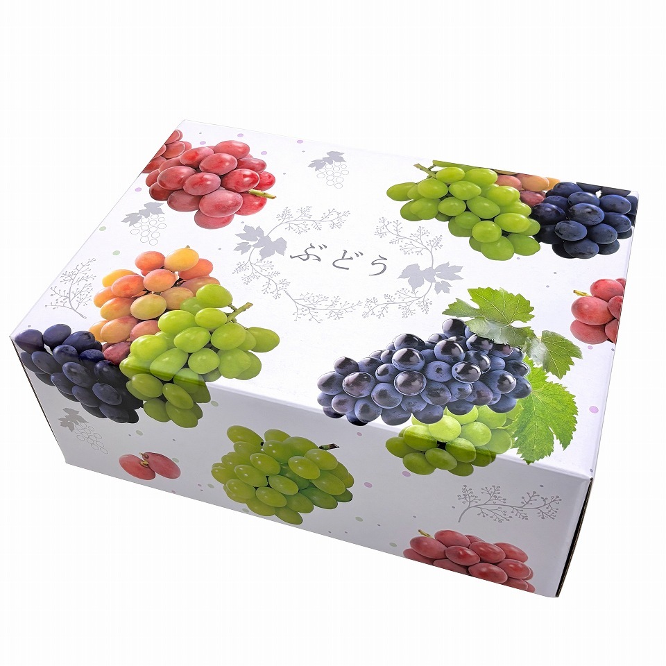 【 3色 ブドウ C式 2kg 10枚入り】 3種類~4種類 の 詰め合わせ ぶどう箱 ぶどう専用箱 (AA6751-10)