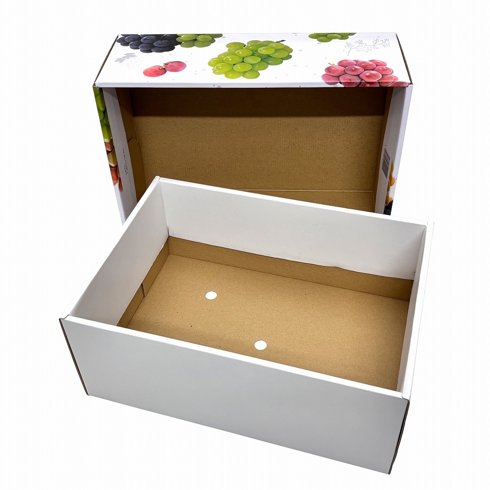 【 3色 ブドウ C式 2kg 10枚入り】 3種類~4種類 の 詰め合わせ ぶどう箱 ぶどう専用箱 (AA6751-10)