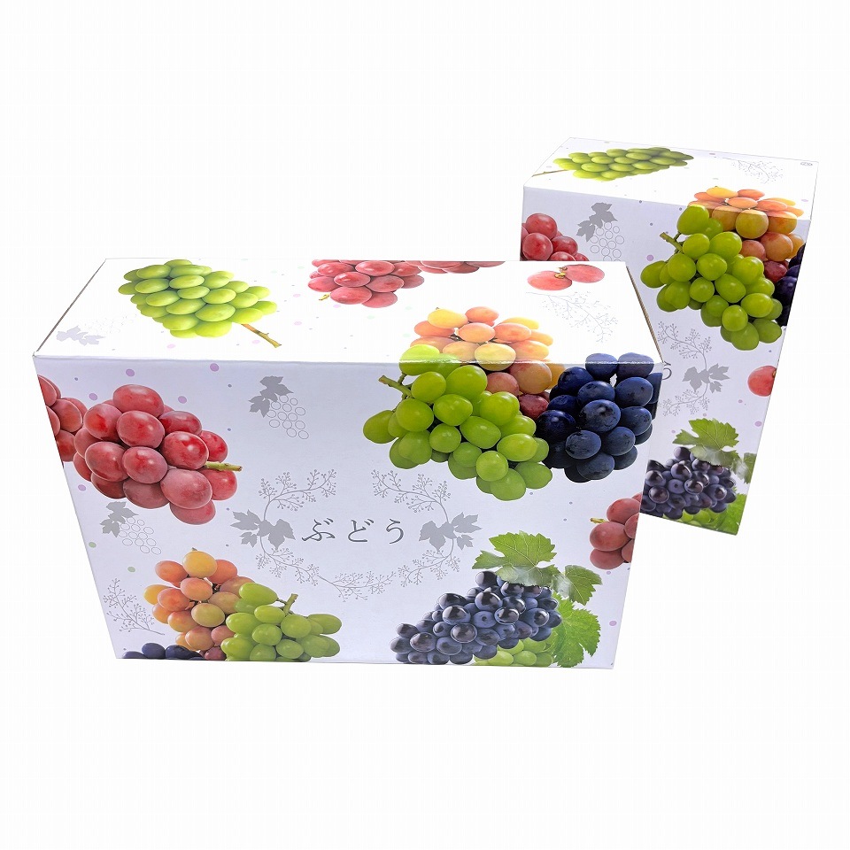 【 3色 ブドウ C式 2kg 10枚入り】 3種類~4種類 の 詰め合わせ ぶどう箱 ぶどう専用箱 (AA6751-10)