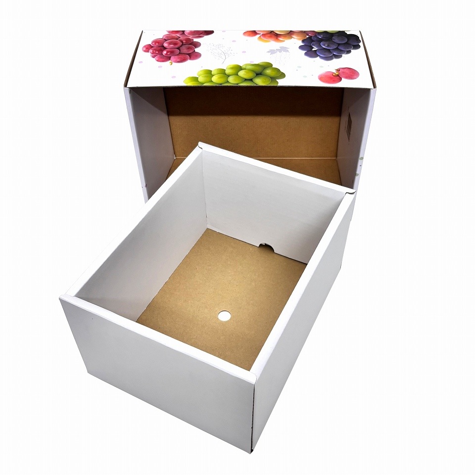 【 3色 ブドウ C式 1.5kg　10枚入り】   詰め合わせ ぶどう箱 （AA6752-10）