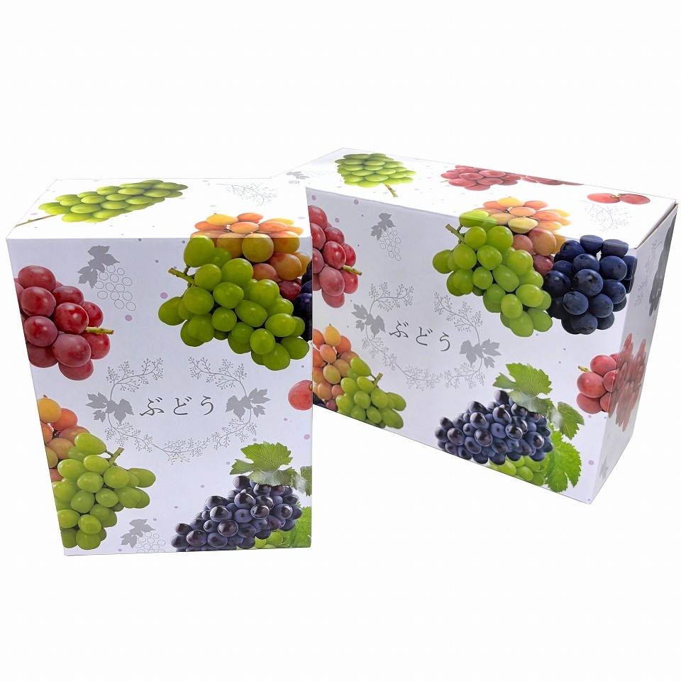 【 3色 ブドウ C式 1.5kg　10枚入り】   詰め合わせ ぶどう箱 （AA6752-10）