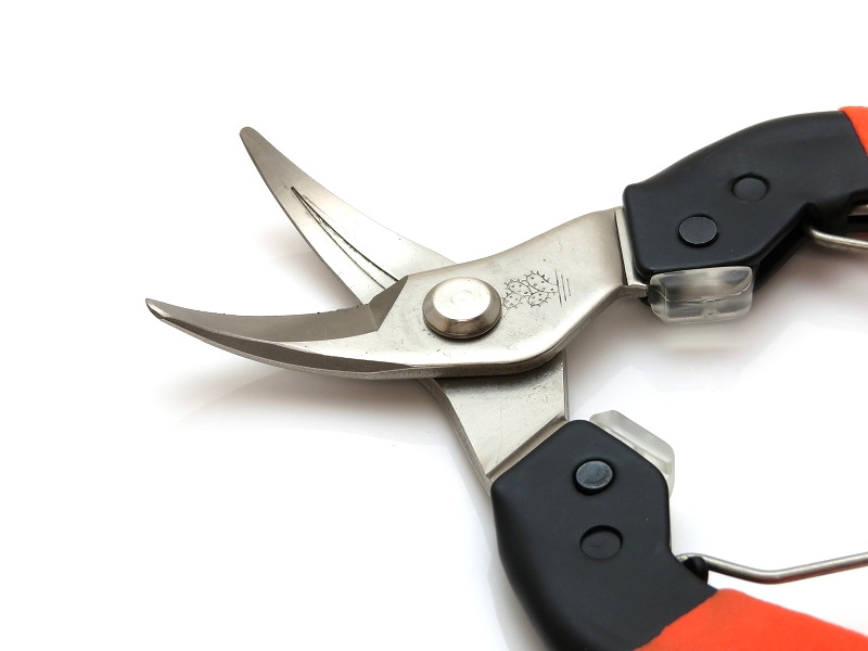 サボテン 吸収 収穫はさみ 大曲刃 AG-1