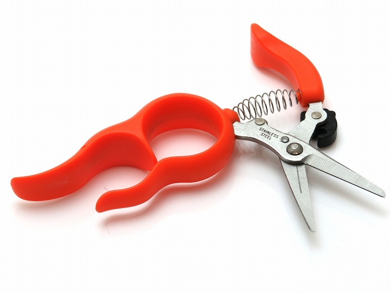 両手が使える収穫鋏　No.1318Sステンレス