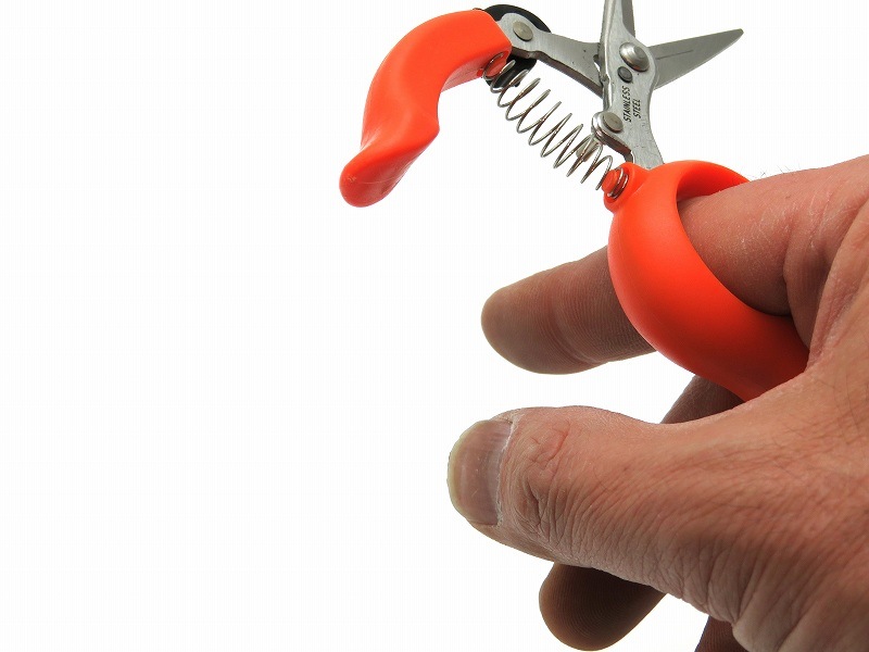 両手が使える収穫鋏　No.1318Sステンレス