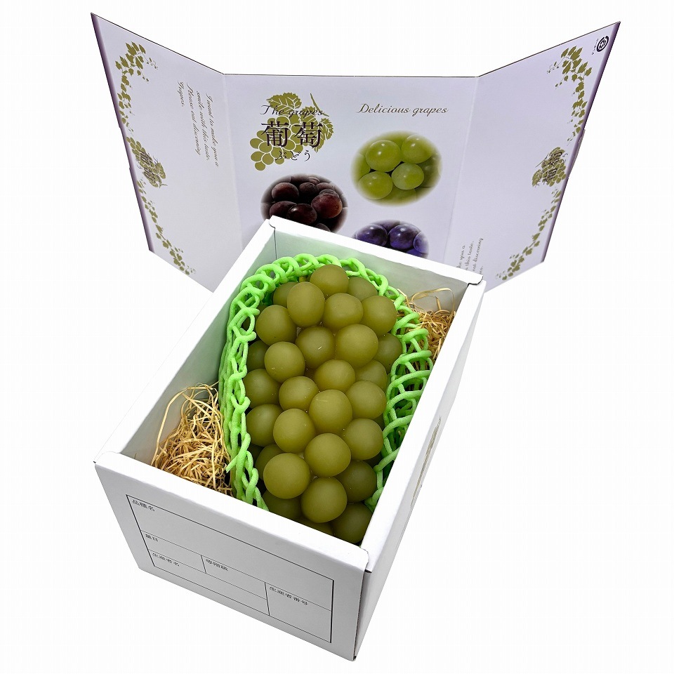 【 3色 ブドウ  1kg　50枚入り】   詰め合わせ ぶどう箱 （AA6753）