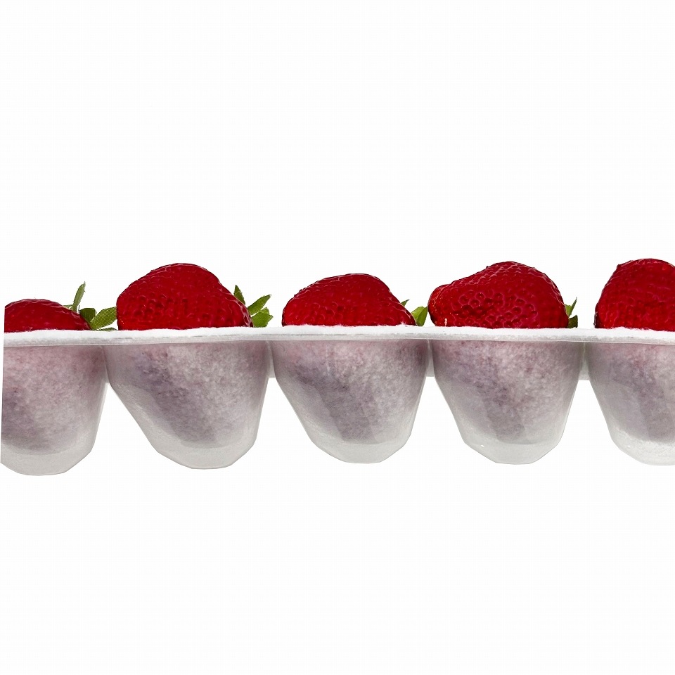 イチゴ用　ハンモックトレー　15Ｈ（133×200ｍｍ）　25枚/袋