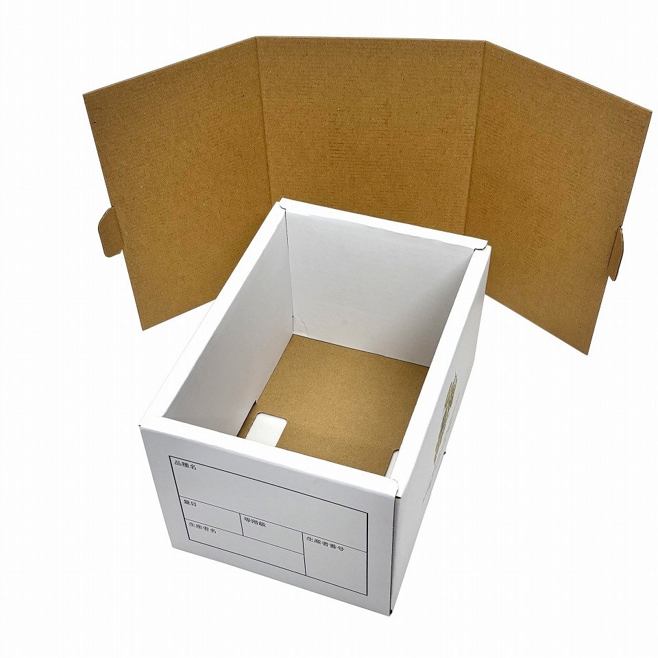 【 3色 ブドウ  1kg　10枚入り】   詰め合わせ ぶどう箱 （AA6753-10）