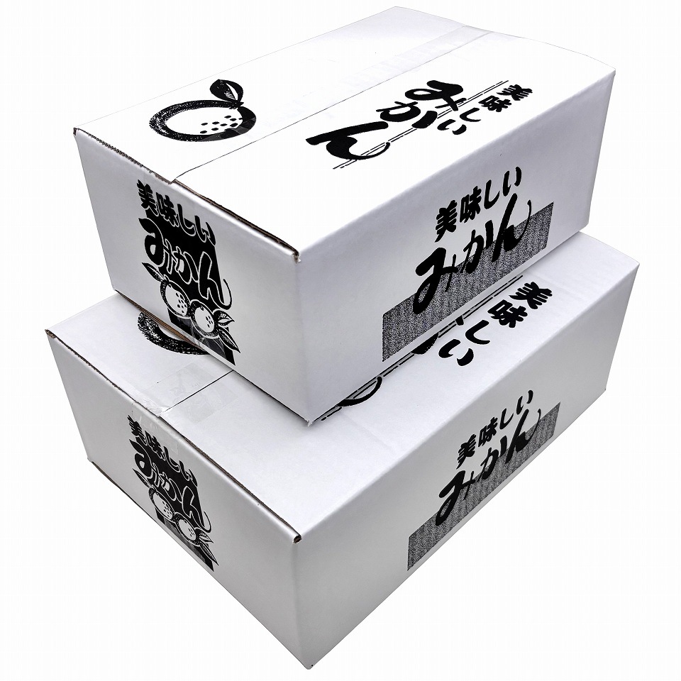 明美　２箱 02171707_620e022f32aaa.jpg