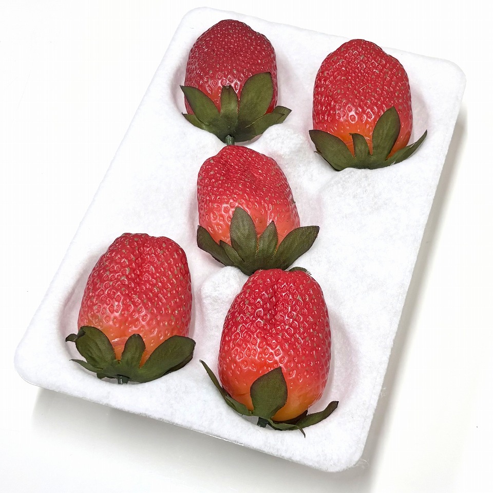 イチゴ用　ハンモックトレー　5Ｈ（133×200ｍｍ）　25枚/袋