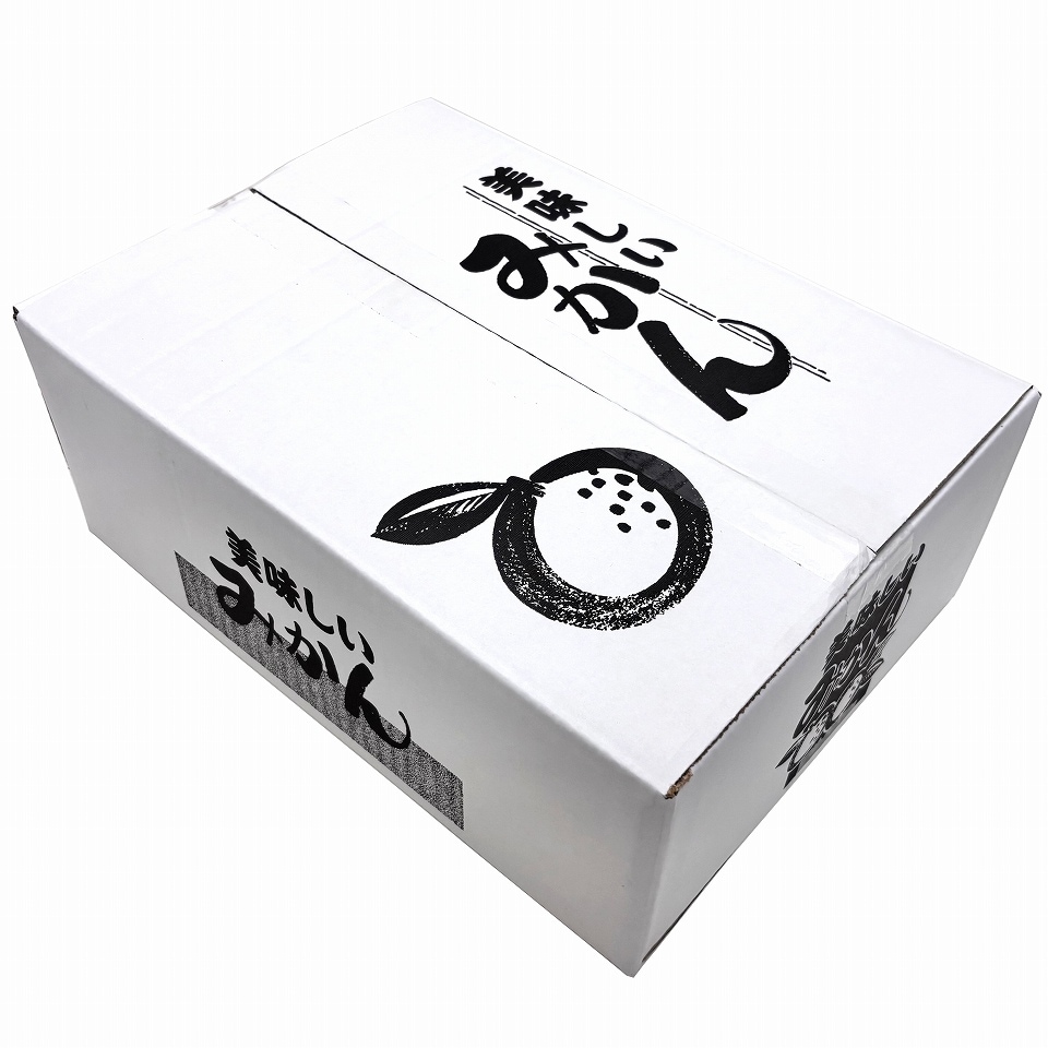 みかん用送り箱】美味しいみかん 5㎏（10枚入） 内寸：260×365×H135mm