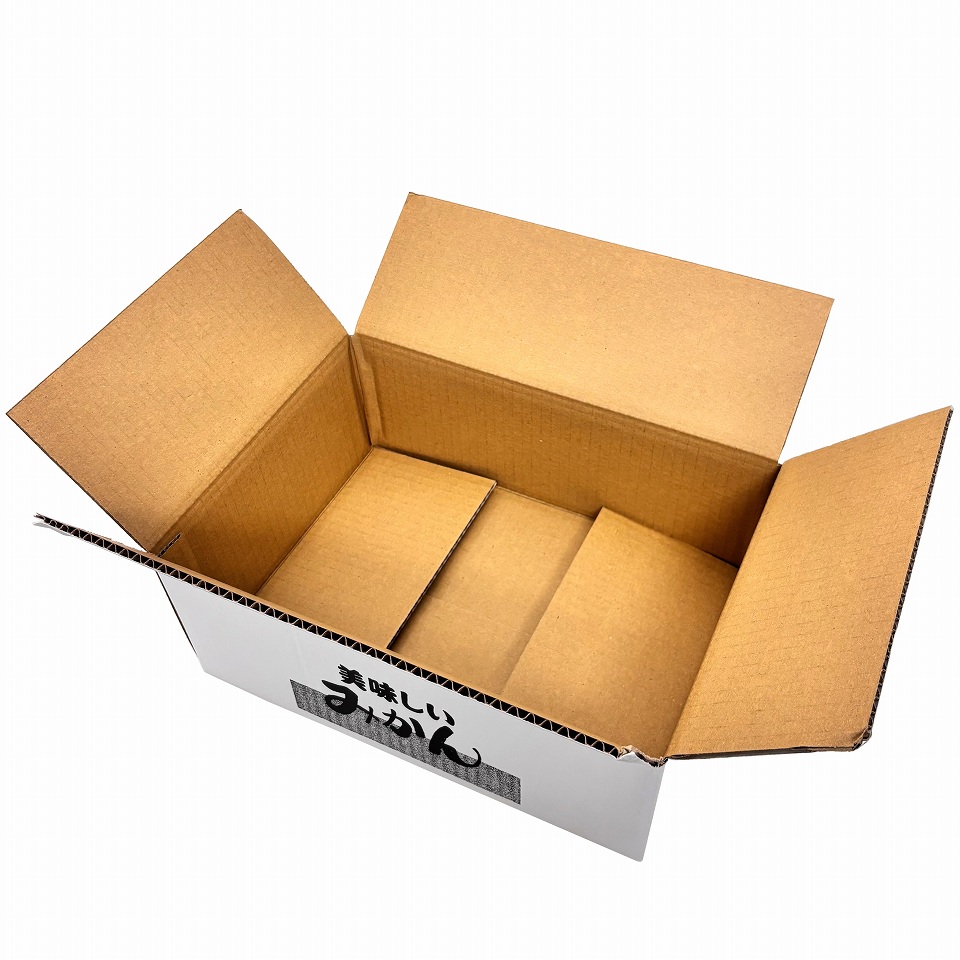 り。　みか45個　宗40個 時短リュック』年間150時の探し物時間を節約 KABAG box 2 左利き【ラージ