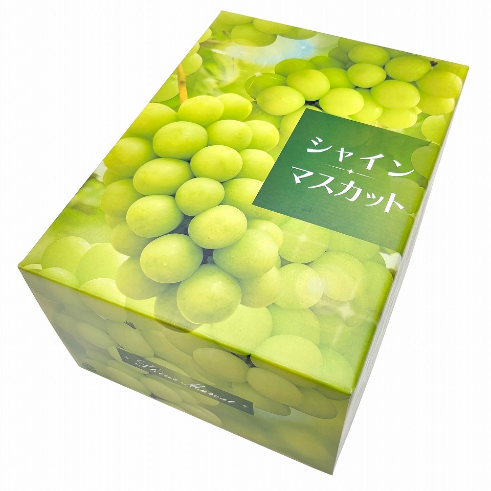【シャインマスカット C式 1.5kg 50枚入り】 シャインマスカットギフト用化粧箱「大切な人に贈る、最上級のシャインマスカット体験。」 (AA6762)