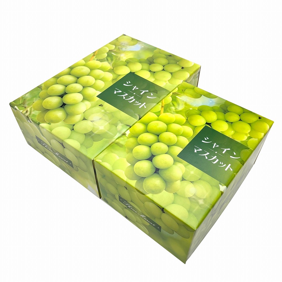 【シャインマスカット C式 1.5kg 50枚入り】 シャインマスカットギフト用化粧箱「大切な人に贈る、最上級のシャインマスカット体験。」 (AA6762)