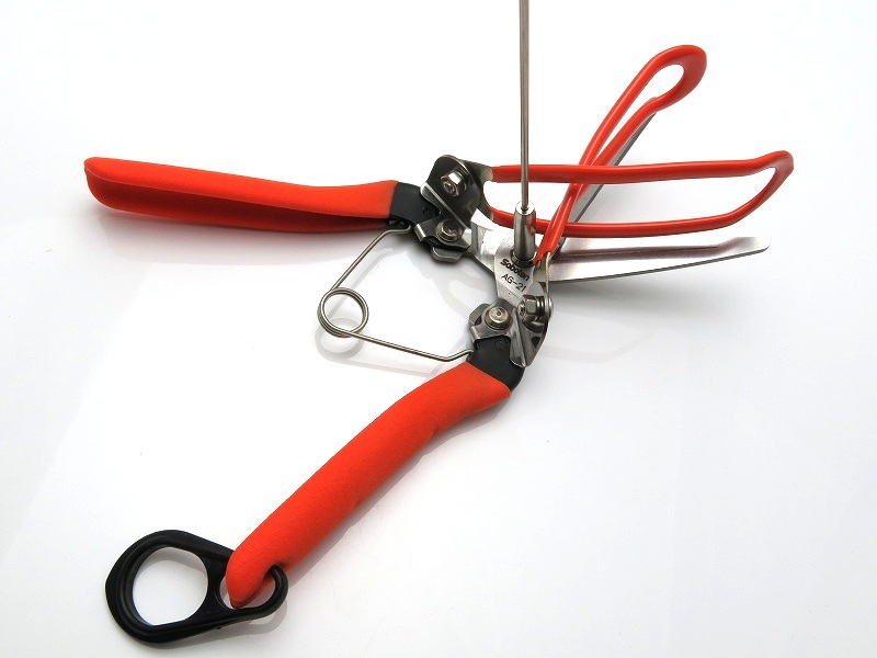 サボテン アスパラ収穫鋏 【測って、切って、つかめる】 収穫効率アップ No.AG-21