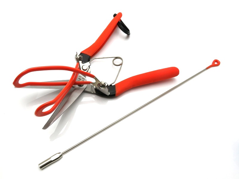 サボテン アスパラ収穫鋏 【測って、切って、つかめる】 収穫効率アップ No.AG-21