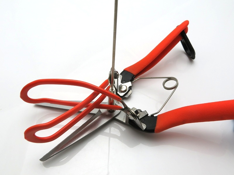 サボテン アスパラ収穫鋏 【測って、切って、つかめる】 収穫効率アップ No.AG-21