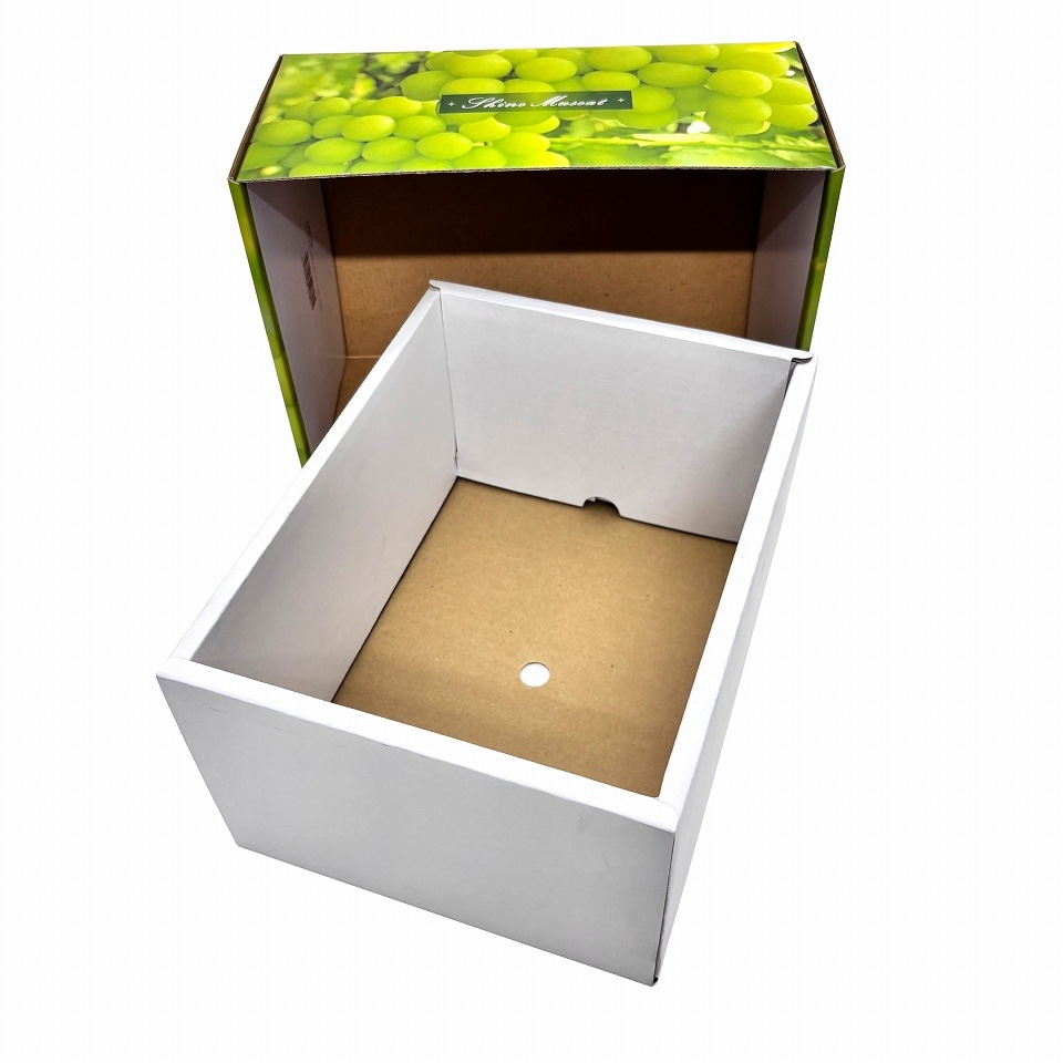 【シャインマスカット C式 1.5kg　10枚入り】   シャインマスカットギフト用化粧箱「大切な人に贈る、最上級のシャインマスカット体験。」 （AA6762-10）