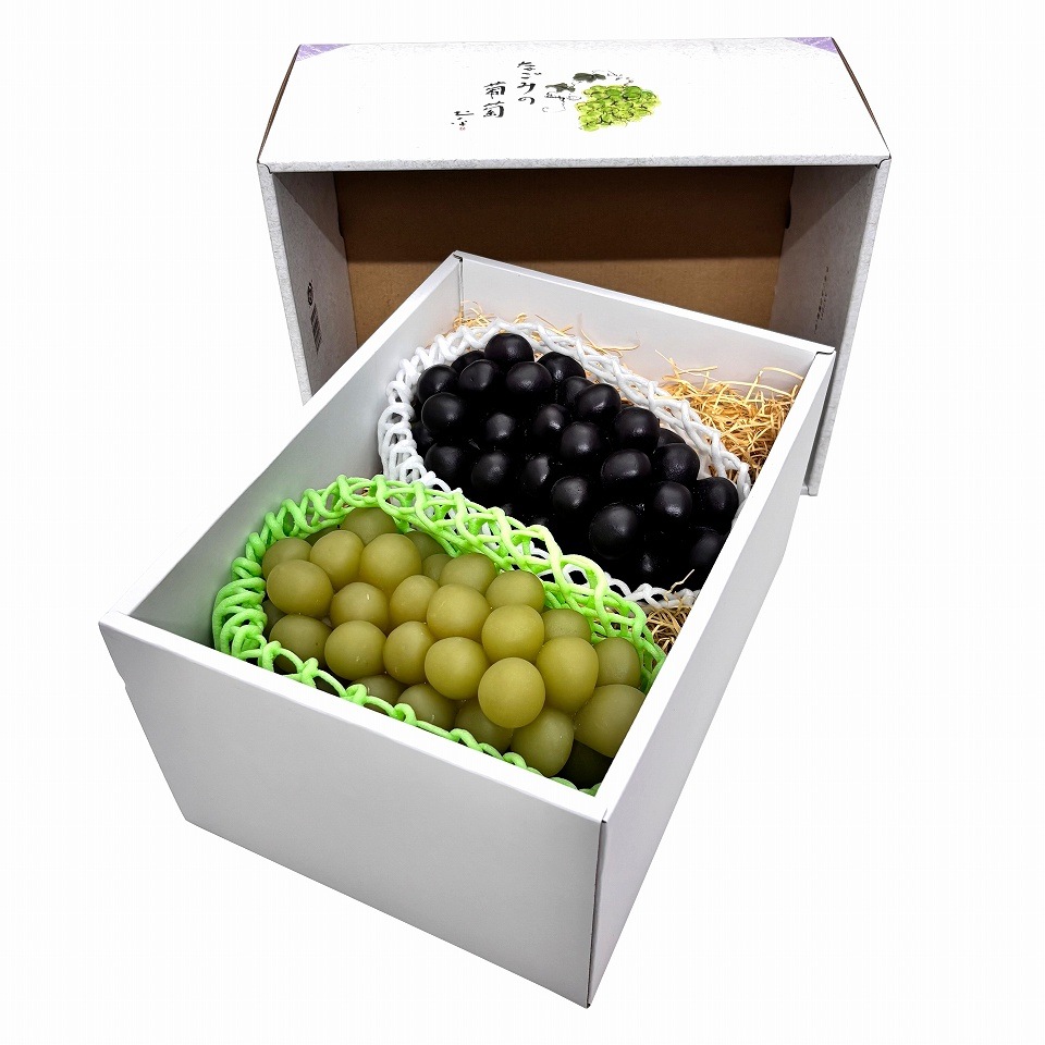 【なごみの葡萄　40枚入り】   ぶどう2房用（AA7081）