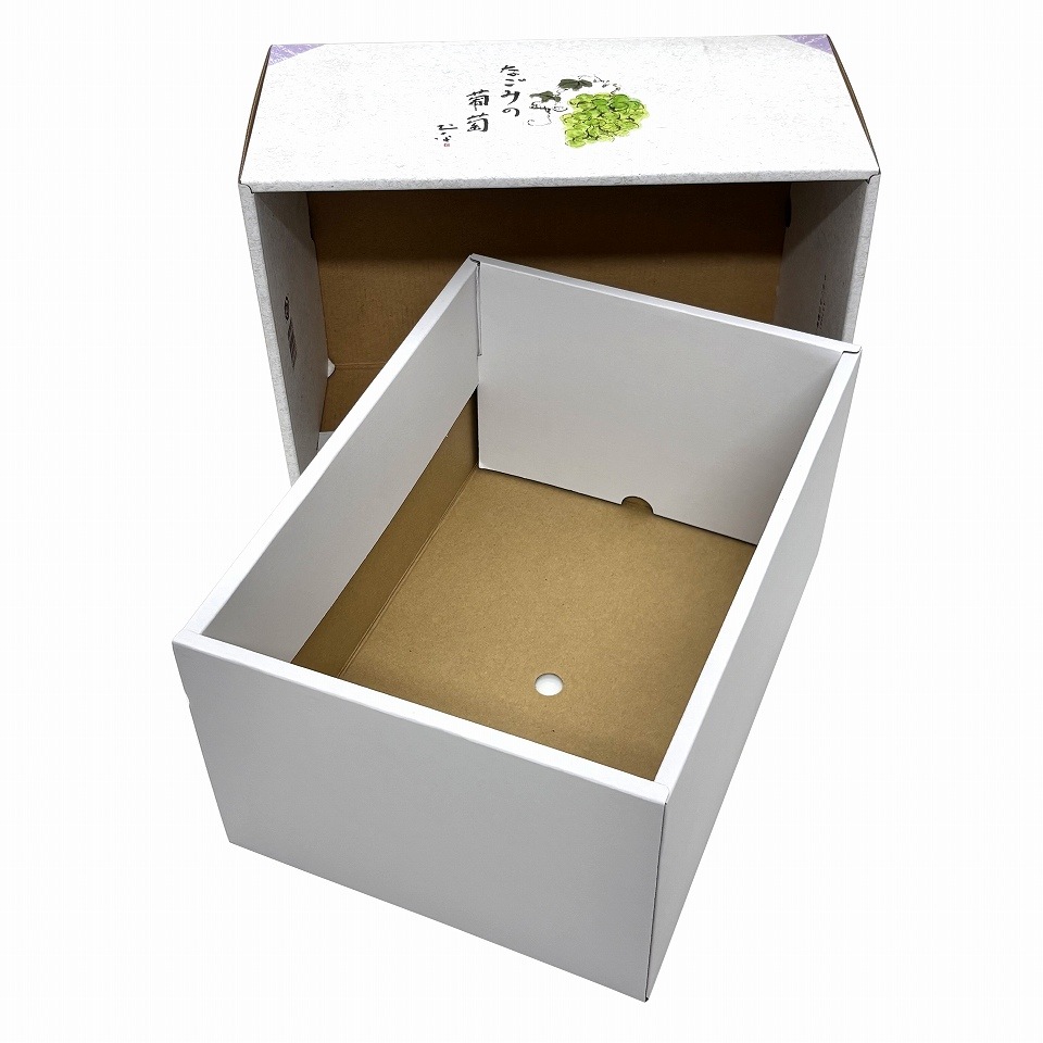 【なごみの葡萄　10枚入り】   ぶどう2房用（AA7081-10）