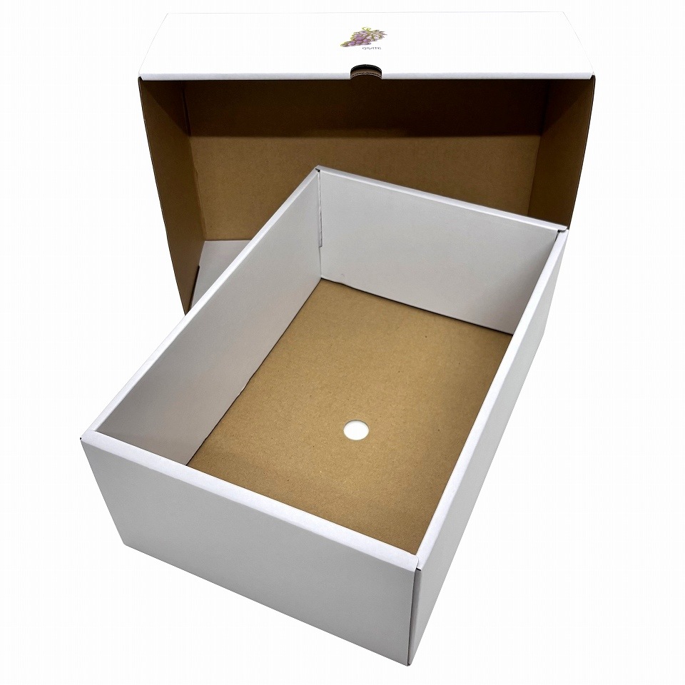 【プチギフト  中　50枚入り】 フルーツ詰合せ用　ぶどう2房用（AA7173）