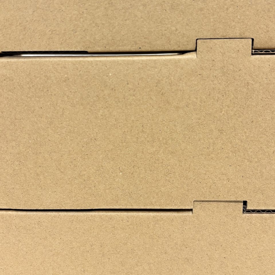 【果物詰め合わせ用】コンテナBOX美味派遣便　大（20枚入）　内寸：370×250×Ｈ90mm