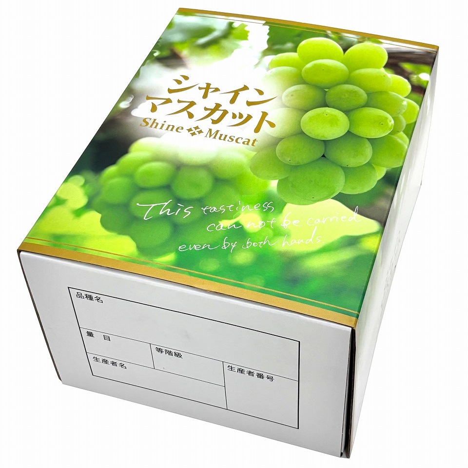 【OSシャインマスカット 1.5kg　10枚入り】   「大切な人に贈る、シャインマスカットギフト用化粧箱」 （AO0202-10）